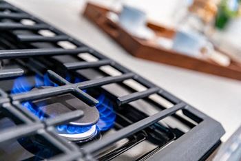 Gas range*